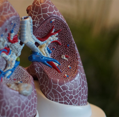 What is a Pulmonary Function Test?