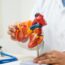 How Vascular Studies Can Help Prevent Serious Cardiovascular Issues